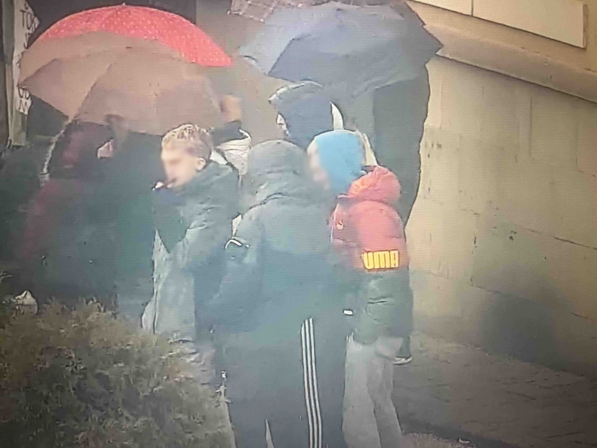 srpska napredna stranka gornji milanovac