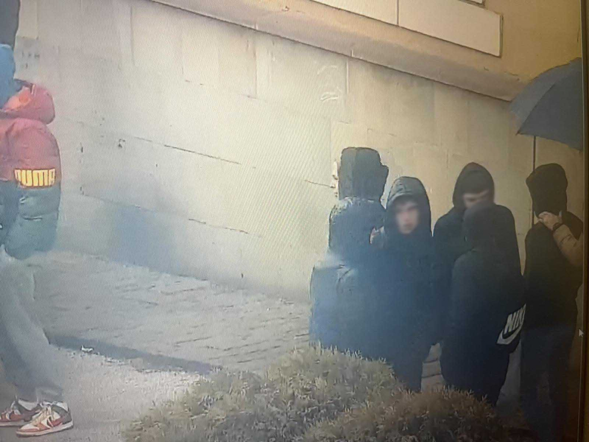 srpska napredna stranka gornji milanovac