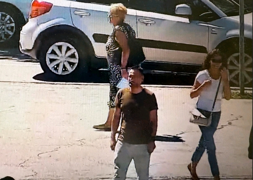 srpska napredna stranka gornji milanovac